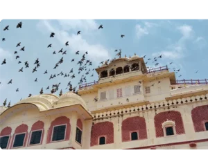 Redmi 12 5G 50MP Camera Low Light & Daylight Photos