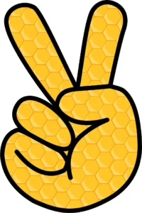 OnePlus 12 display not responding after drop India